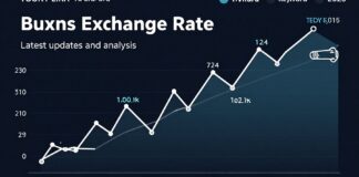 سعر الدولار مقابل الليرة التركية: آخر التحديثات والتحليلات