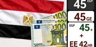 سعر اليورو في السوق السوداء المصرية يتخطى 45 جنيها