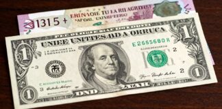 تصل سعر صرف الدولار إلى 31.5 جنيهًا مصريًا