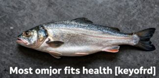 أهم فوائد سمك للصحة: غذاء متوازن ومغذي