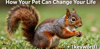 سنجاب: كيف يمكن أن يغير حيوانك الأليف حياتك