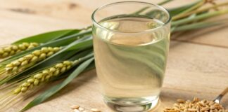 شمر: 5 فوائد صحية لشراب القمح الأخضر في الصيام