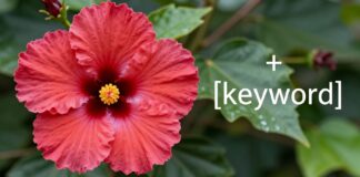 فوائد الكركديه الصحية والجمالية