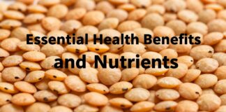 فول: فوائد صحية ومغذيات لا غنى عنها