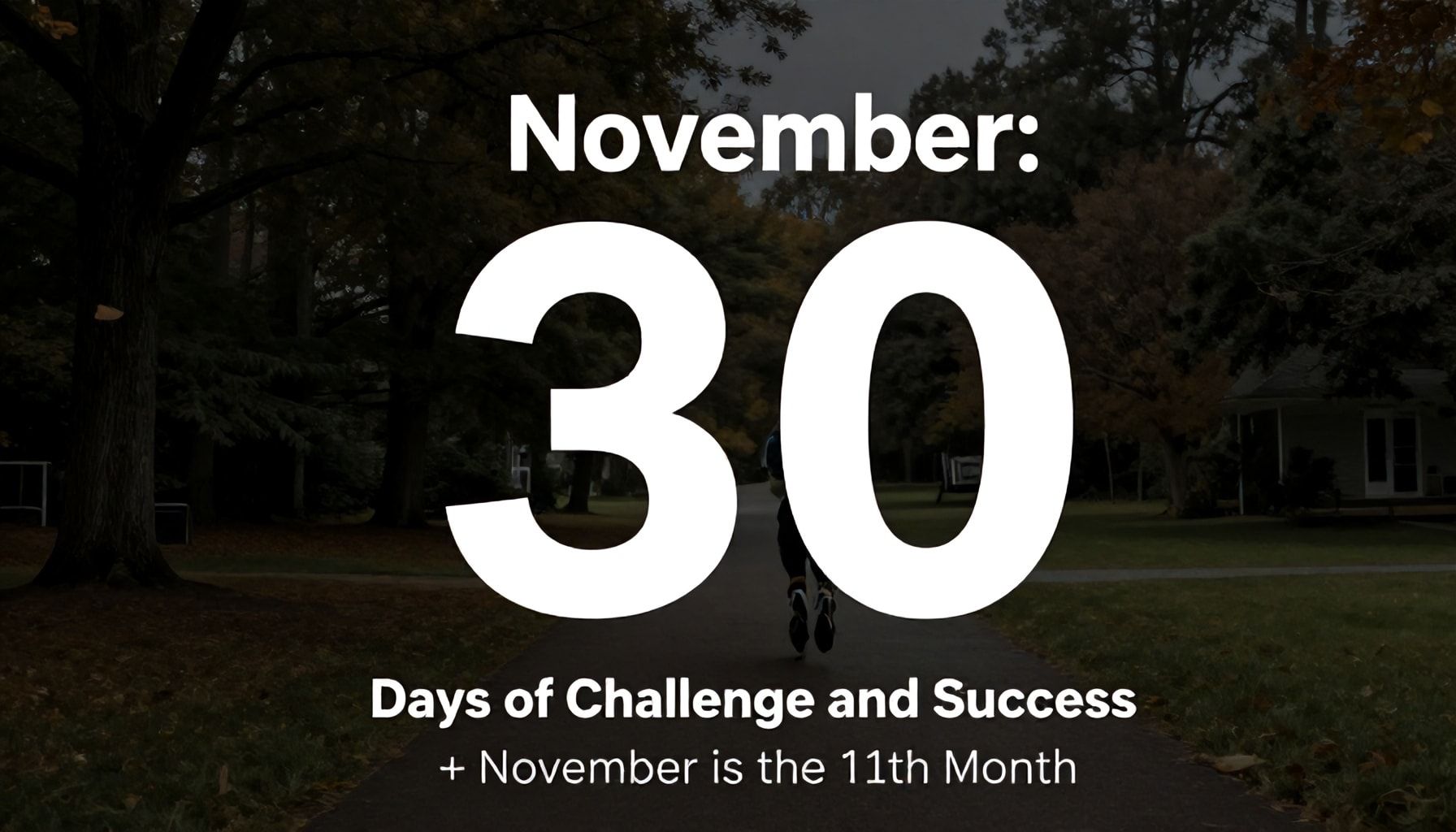نوفمبر: 30 يوم من التحدي والنجاح