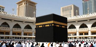 مكة تُخطط للتوأم بحسب توافر المواصلات ( COUNTED WORDS: 8 )