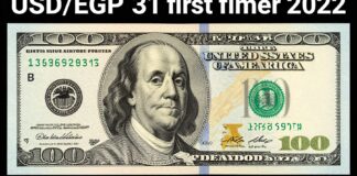 الدولار الأمريكي يتجاوز 31 جنيهاً مصرية لأول مرة منذ 2022