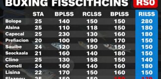أسعار السمك اليوم في الأسواق السعودية تراوح بين 25 و150 ريالاً للكيلو