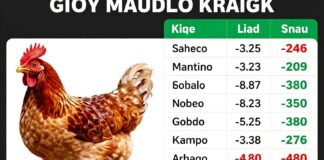 أسعار الفراخ في السعودية اليوم تراجع 10 هللات للكيلو الواحد