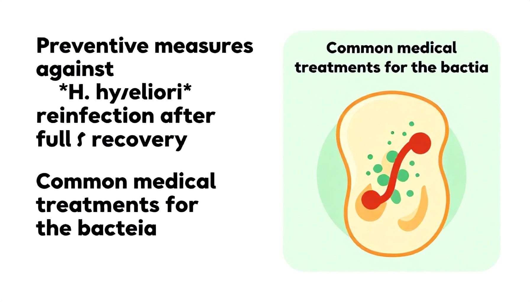خطوات الوقاية من جرثومة المعدة بعد الشفاء التام