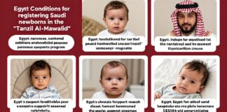 مصر تعلن 4 شروط لتسجيل مواليد السعوديين في دعم تنزيل المواليد