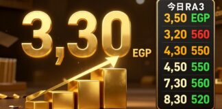 ذهب يعاود الارتفاع في مصر ويتجاوز 3300 جنيه للجرام