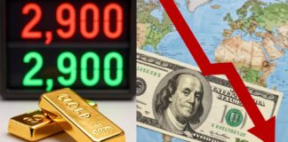 الذهب في مصر يسجل 2900 جنيه للجرام مع تراجع الدولار عالميًا