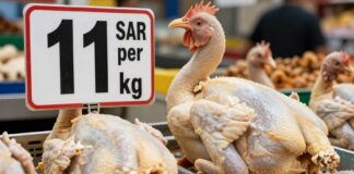 أسعار كيلو الفراخ البيضاء تراجع إلى 11 ريالاً في الأسواق السعودية اليوم