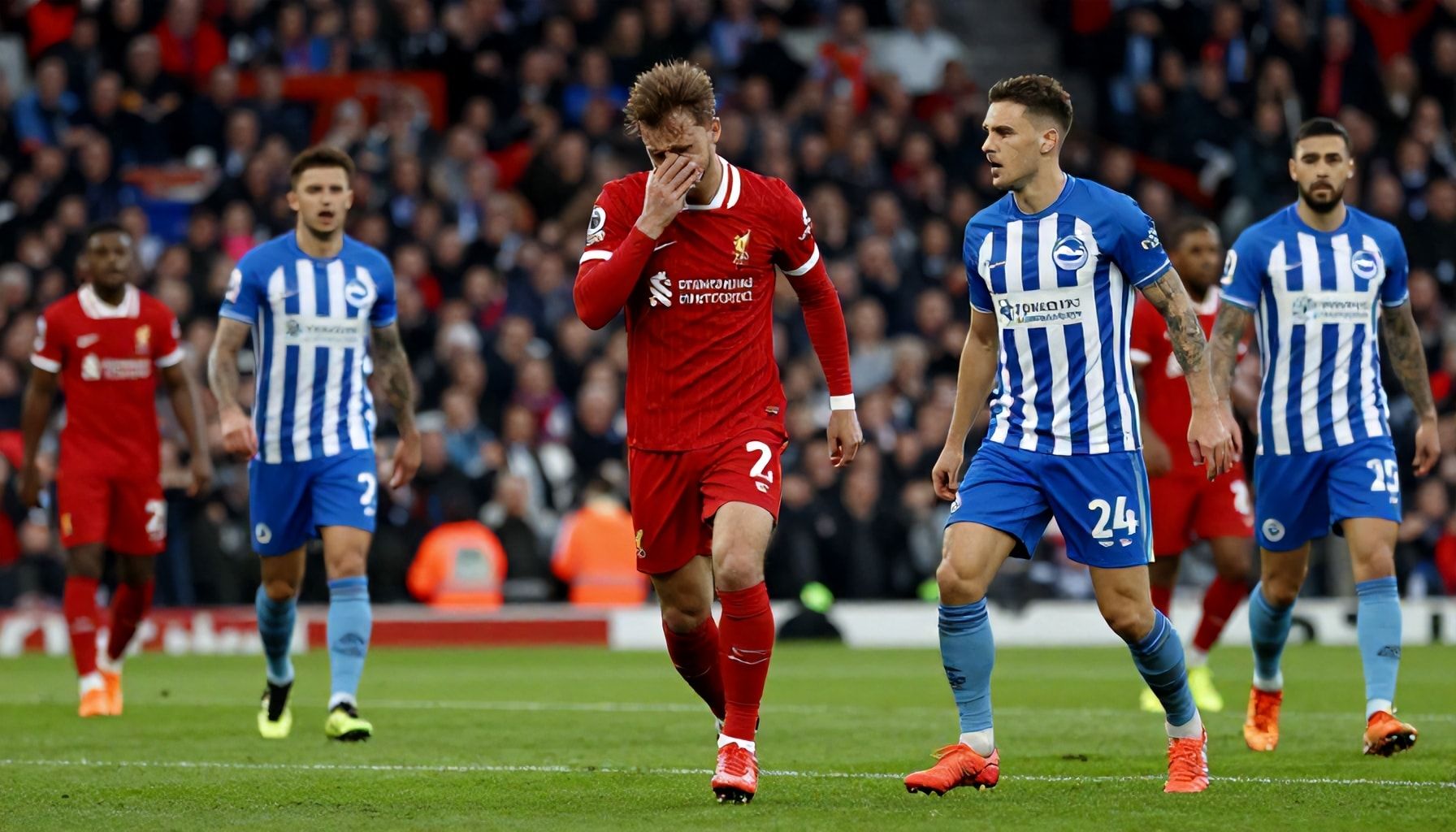 صدام سابق مؤلم لليفربول أمام برايتون في الدوري