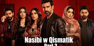 مسلسل نصيبي وقسمتك يعود في جزء ثالث بمفاجآت درامية جديدة