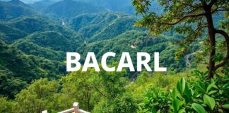 اكتشاف جمال الطبيعة في باكركوي: دليل شامل