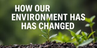 كيف تغيرت بيئتنا: قصة شخصية ومحادثة