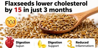 بذور الكتان تخفض الكوليسترول بنسبة 15٪ في 3 أشهر فقط